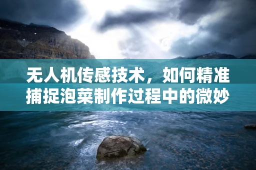 无人机传感技术，如何精准捕捉泡菜制作过程中的微妙变化？