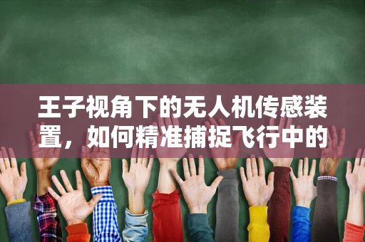 王子视角下的无人机传感装置，如何精准捕捉飞行中的微妙变化？