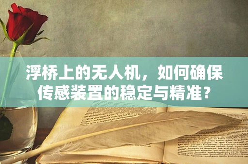 浮桥上的无人机，如何确保传感装置的稳定与精准？
