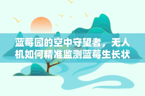 蓝莓园的空中守望者，无人机如何精准监测蓝莓生长状况？