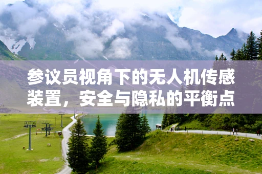 参议员视角下的无人机传感装置，安全与隐私的平衡点何在？