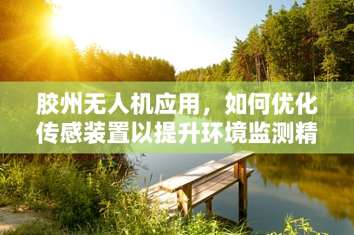 胶州无人机应用，如何优化传感装置以提升环境监测精度？
