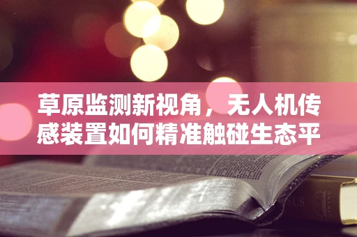 草原监测新视角，无人机传感装置如何精准触碰生态平衡？