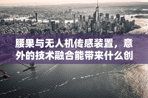 腰果与无人机传感装置，意外的技术融合能带来什么创新？