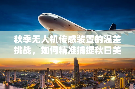 秋季无人机传感装置的温差挑战，如何精准捕捉秋日美景？