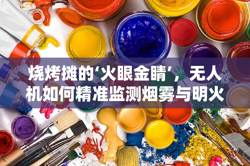 烧烤摊的‘火眼金睛’，无人机如何精准监测烟雾与明火？