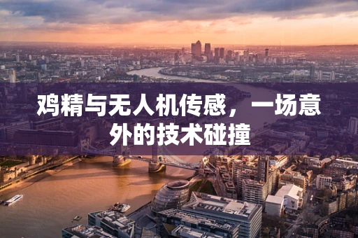 鸡精与无人机传感，一场意外的技术碰撞