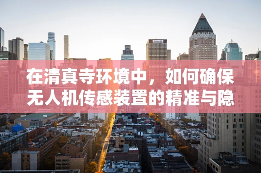 在清真寺环境中，如何确保无人机传感装置的精准与隐私保护？