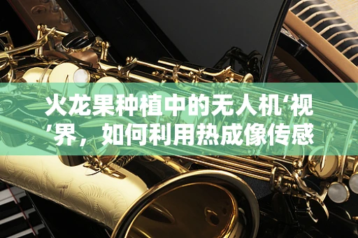 火龙果种植中的无人机‘视’界，如何利用热成像传感优化灌溉？