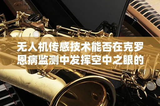 无人机传感技术能否在克罗恩病监测中发挥空中之眼的作用？