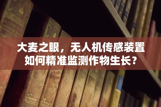 大麦之眼，无人机传感装置如何精准监测作物生长？