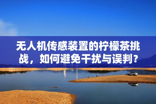 无人机传感装置的柠檬茶挑战，如何避免干扰与误判？