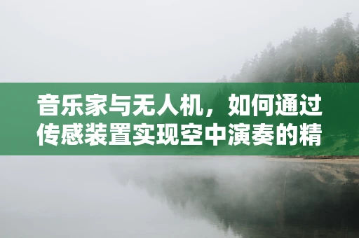 音乐家与无人机，如何通过传感装置实现空中演奏的精准同步？