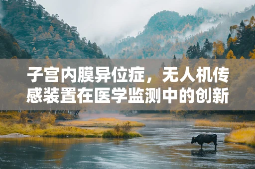 子宫内膜异位症，无人机传感装置在医学监测中的创新应用？