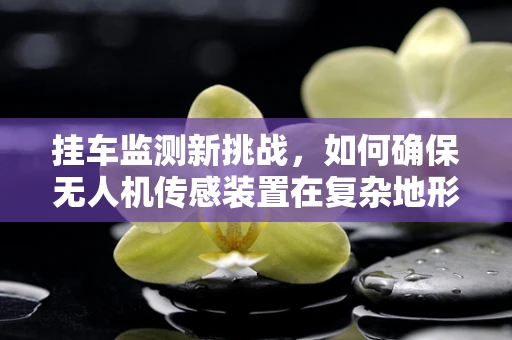 挂车监测新挑战，如何确保无人机传感装置在复杂地形中的精准挂载？