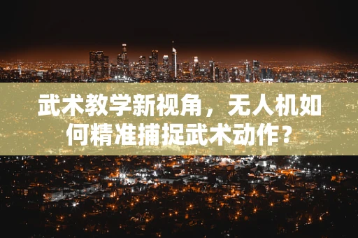 武术教学新视角，无人机如何精准捕捉武术动作？