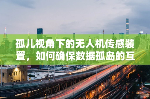 孤儿视角下的无人机传感装置，如何确保数据孤岛的互联互通？