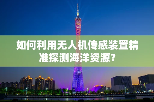 如何利用无人机传感装置精准探测海洋资源？