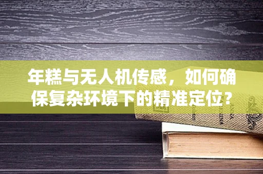 年糕与无人机传感，如何确保复杂环境下的精准定位？