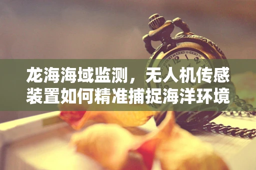 龙海海域监测，无人机传感装置如何精准捕捉海洋环境变化？