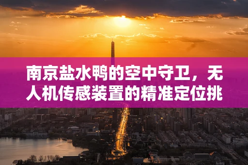 南京盐水鸭的空中守卫，无人机传感装置的精准定位挑战