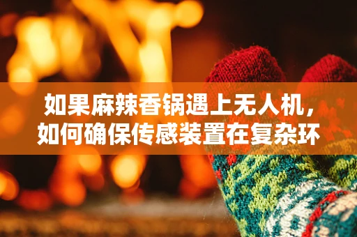 如果麻辣香锅遇上无人机，如何确保传感装置在复杂环境中的精准‘味觉’感知？