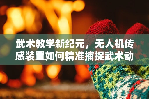 武术教学新纪元，无人机传感装置如何精准捕捉武术动作？