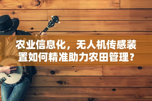 农业信息化，无人机传感装置如何精准助力农田管理？