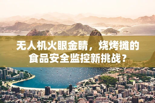 无人机火眼金睛，烧烤摊的食品安全监控新挑战？