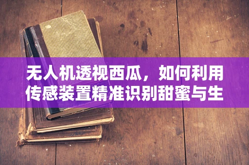 无人机透视西瓜，如何利用传感装置精准识别甜蜜与生涩？