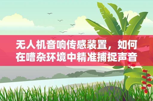无人机音响传感装置，如何在嘈杂环境中精准捕捉声音？