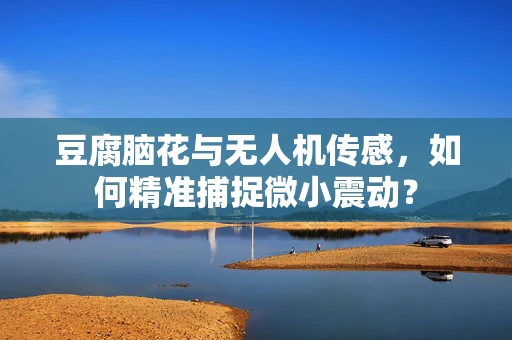 豆腐脑花与无人机传感，如何精准捕捉微小震动？