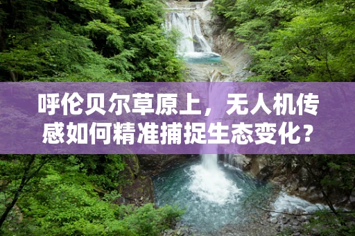 呼伦贝尔草原上，无人机传感如何精准捕捉生态变化？