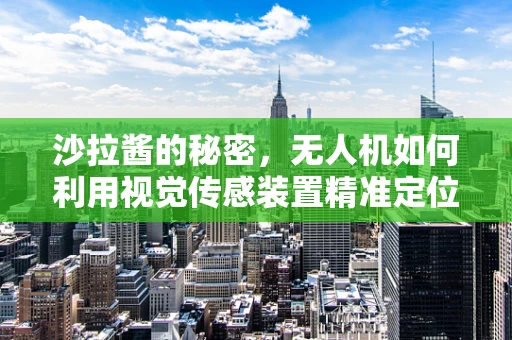 沙拉酱的秘密，无人机如何利用视觉传感装置精准定位？