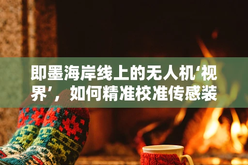 即墨海岸线上的无人机‘视界’，如何精准校准传感装置以应对复杂海况？