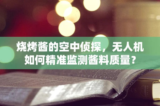 烧烤酱的空中侦探，无人机如何精准监测酱料质量？