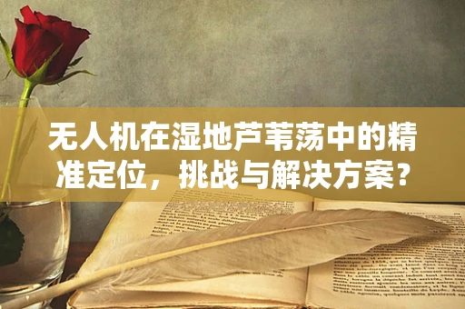 无人机在湿地芦苇荡中的精准定位，挑战与解决方案？