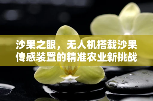 沙果之眼，无人机搭载沙果传感装置的精准农业新挑战