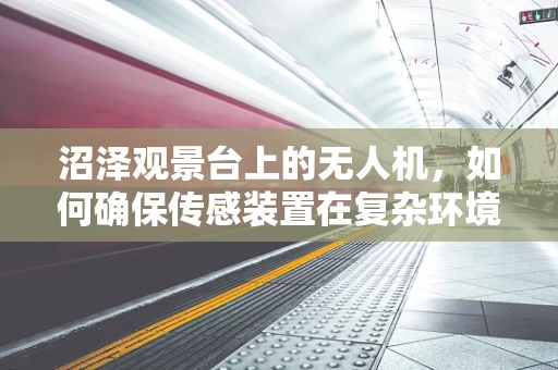 沼泽观景台上的无人机，如何确保传感装置在复杂环境中的精准定位？