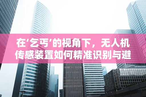 在‘乞丐’的视角下，无人机传感装置如何精准识别与避免障碍？