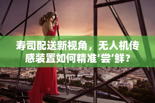 寿司配送新视角，无人机传感装置如何精准‘尝’鲜？