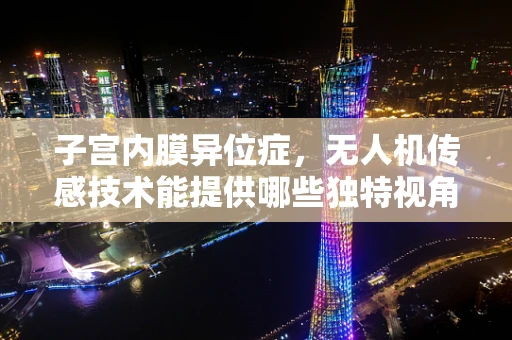子宫内膜异位症，无人机传感技术能提供哪些独特视角？