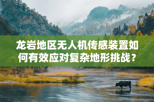 龙岩地区无人机传感装置如何有效应对复杂地形挑战？