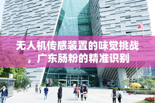 无人机传感装置的味觉挑战，广东肠粉的精准识别