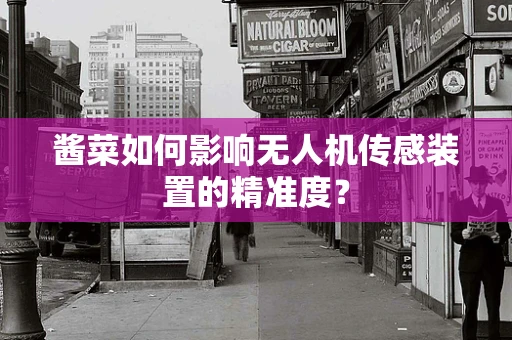 酱菜如何影响无人机传感装置的精准度？