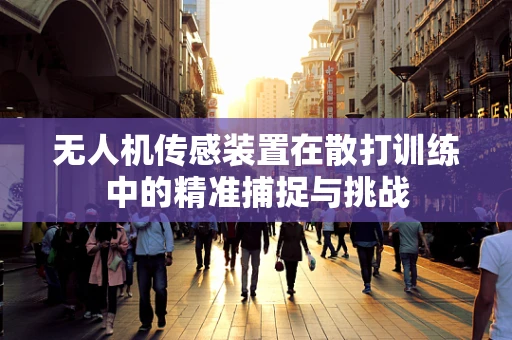 无人机传感装置在散打训练中的精准捕捉与挑战