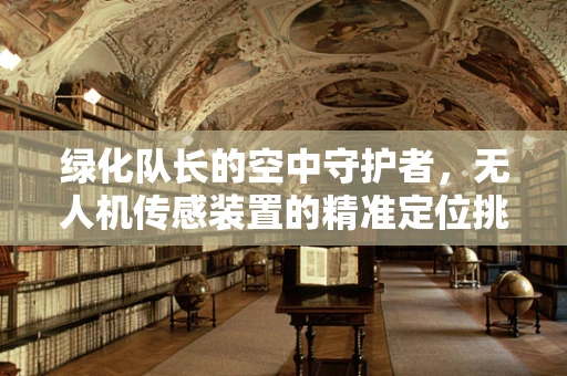 绿化队长的空中守护者，无人机传感装置的精准定位挑战
