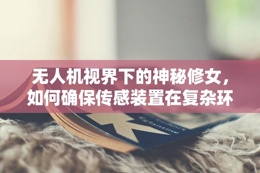 无人机视界下的神秘修女，如何确保传感装置在复杂环境中的精准捕捉？