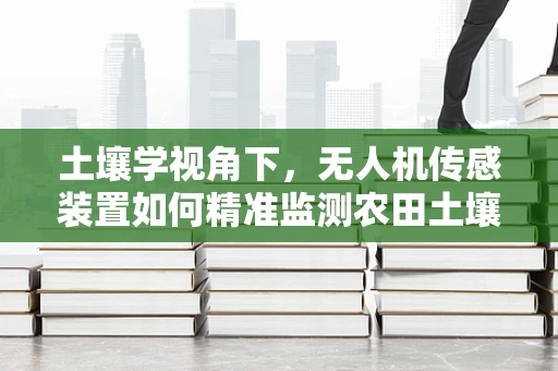 土壤学视角下，无人机传感装置如何精准监测农田土壤变化？