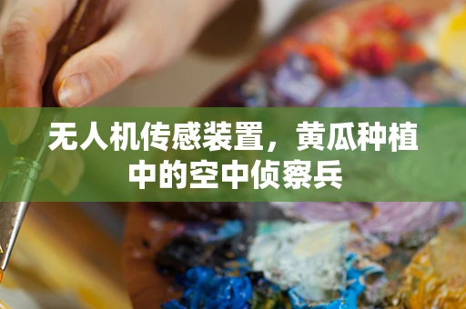 无人机传感装置，黄瓜种植中的空中侦察兵